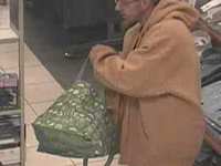 Assistance Needed in Identifying Auto Thieves and Habitual Shoplifters